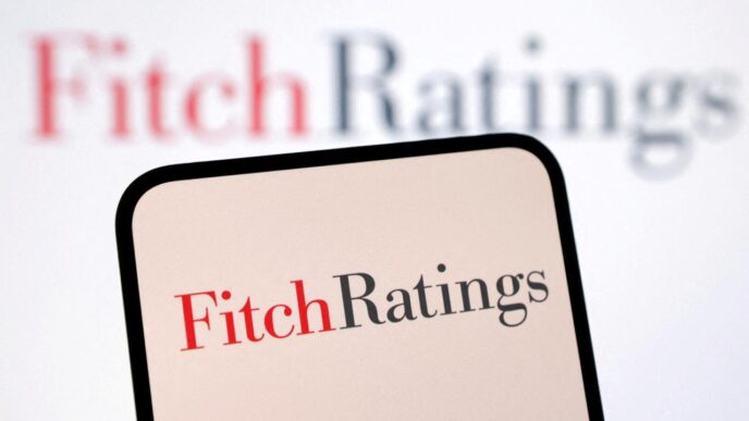 Fitch (News Central TV)