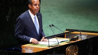 AU Appeals for Calm in Middle East (News Central TV)
