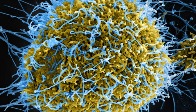 Africa CDC Declares Ebola Continental Emergency (News Central TV)