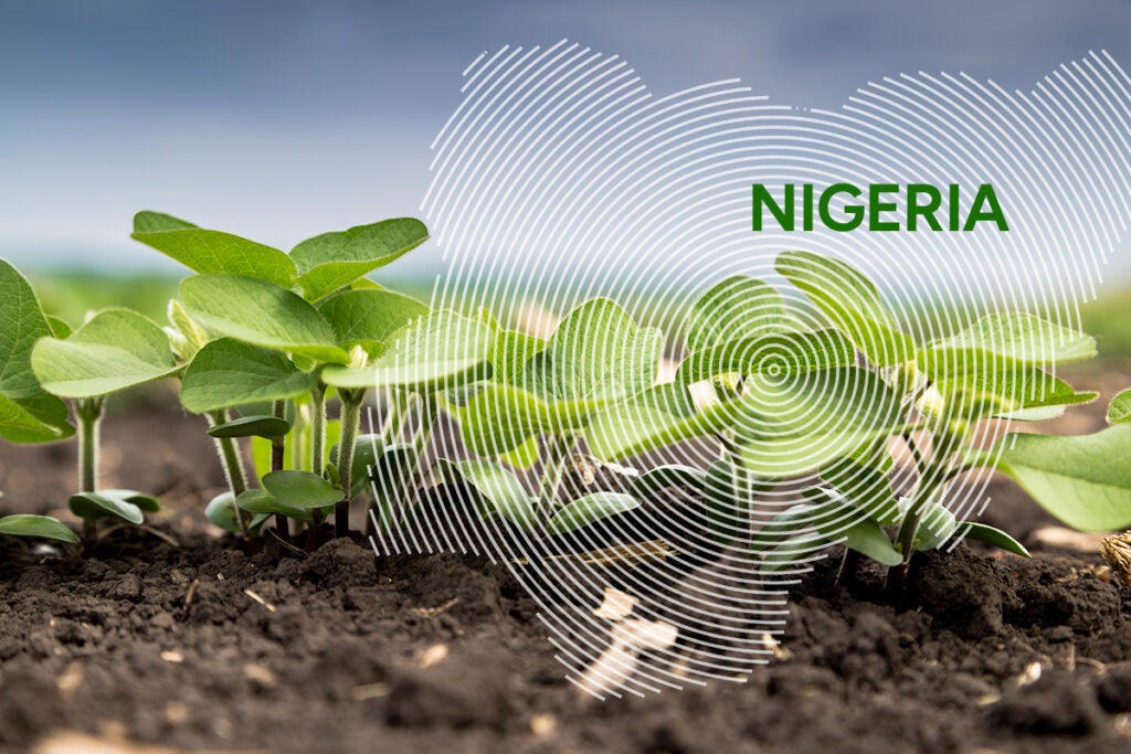 India Turns to Nigeria, Africa for Soybean Imports (NewsCentral TV)