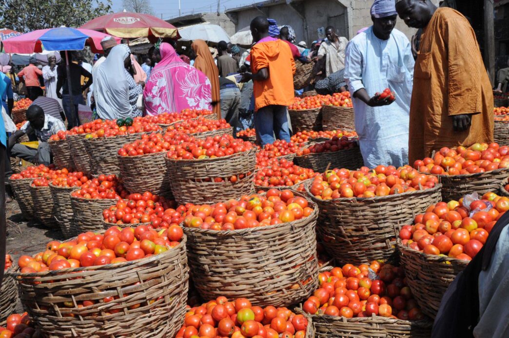 Lagos Residents Lament Rising Tomato Prices (News Central TV)