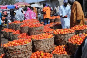 Lagos Residents Lament Rising Tomato Prices (News Central TV)