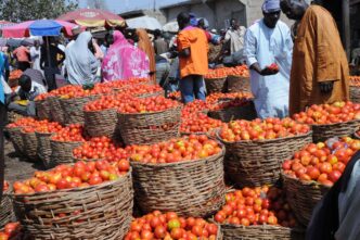 Lagos Residents Lament Rising Tomato Prices (News Central TV)