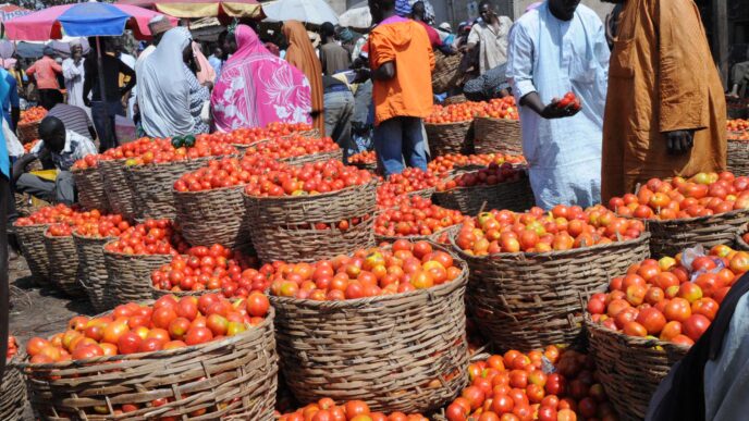 Lagos Residents Lament Rising Tomato Prices (News Central TV)