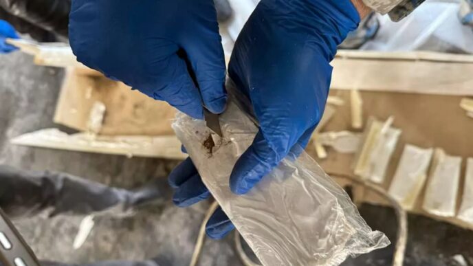 Poland Seizes Major Heroin Shipment from Iran