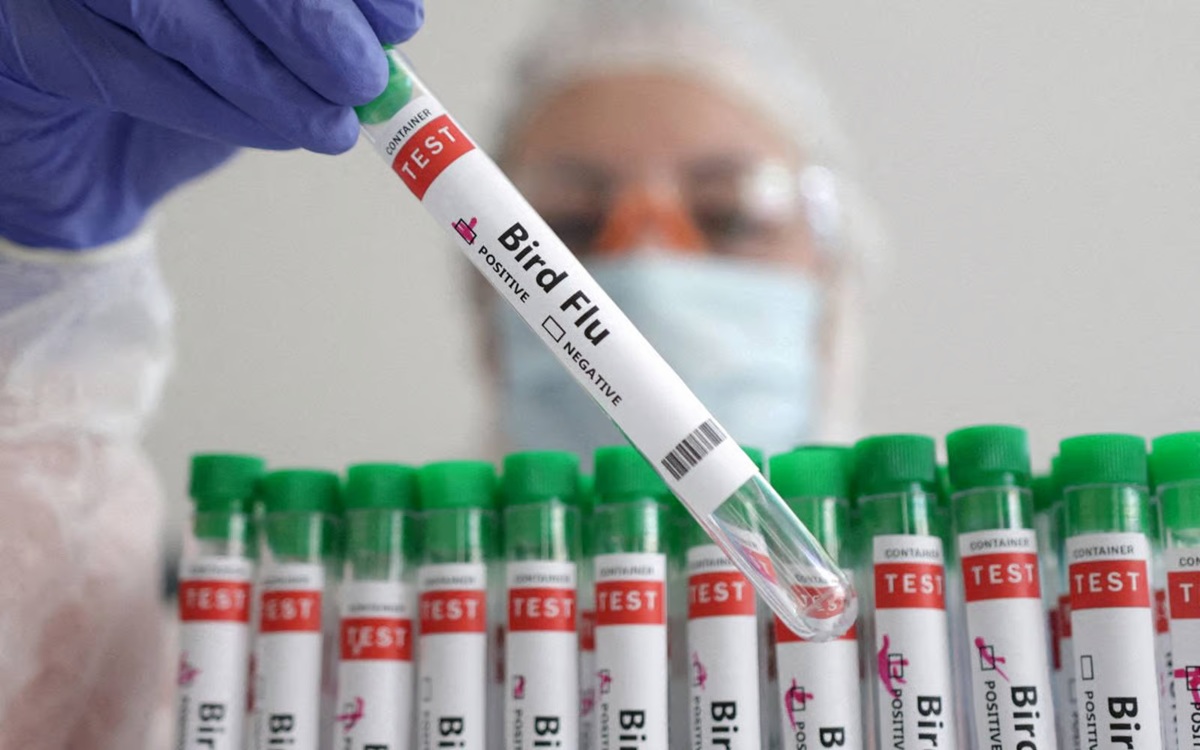 H5 Bird Flu Detected in Second Australian State