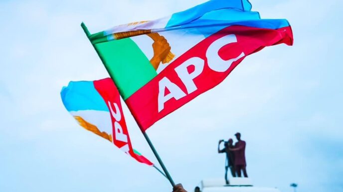 APC Emerges Victorious in Kano By-election