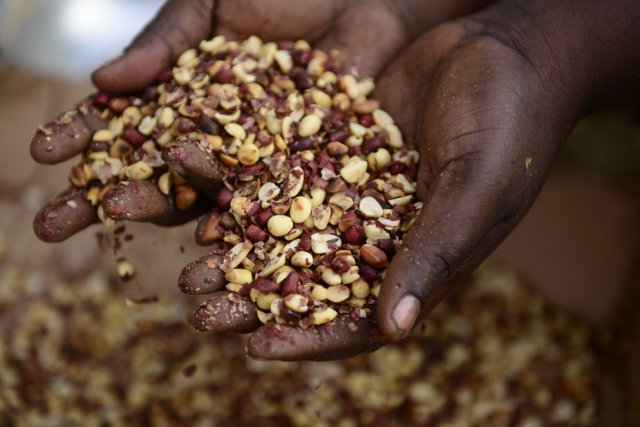 Unsafe Food Causes 1.5 Million Deaths Annually - WHO (News Central TV)