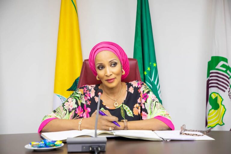 UNGA: Nigeria, EU Seek Legal Migration Pathways