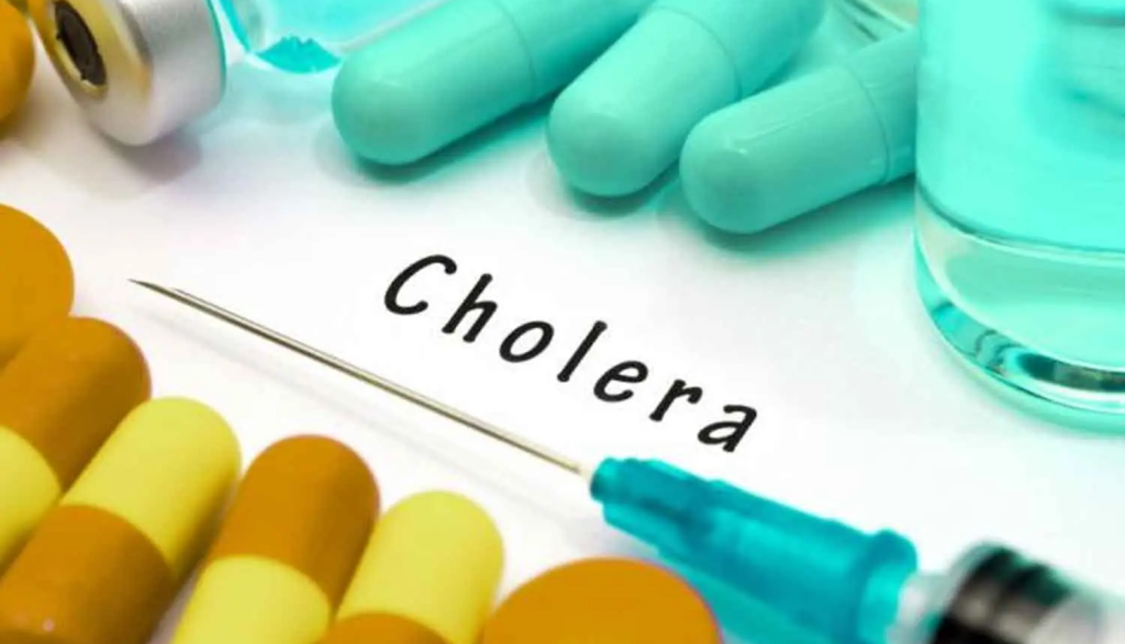 MSF Warns Of Rising Cholera Cases in Borno (News Central TV)