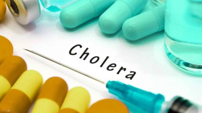 MSF Warns Of Rising Cholera Cases in Borno (News Central TV)