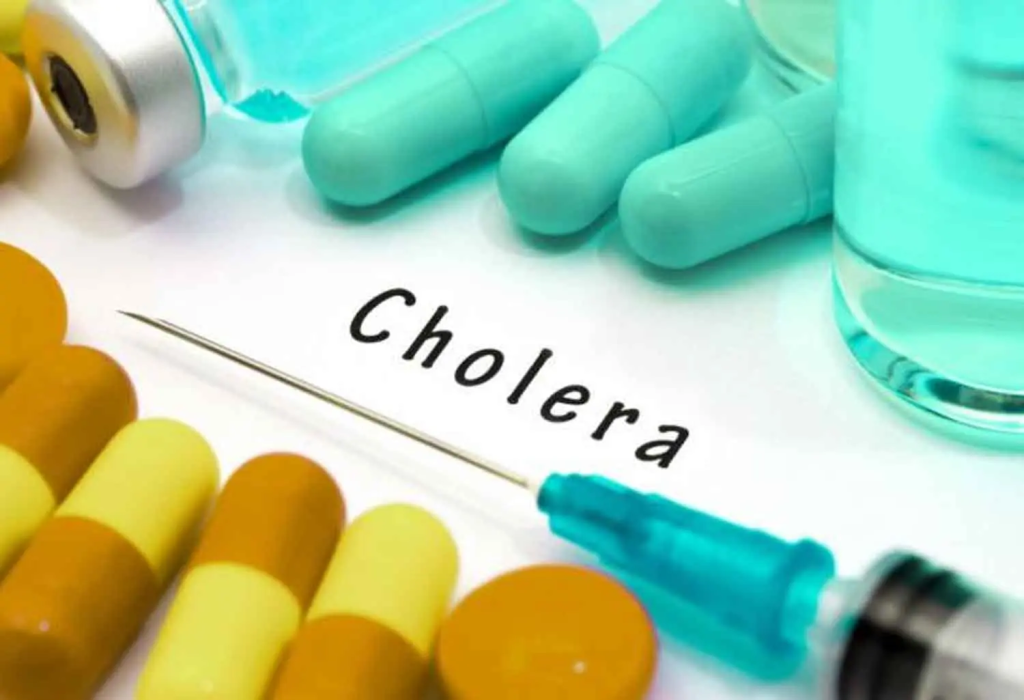 MSF Warns Of Rising Cholera Cases in Borno (News Central TV)