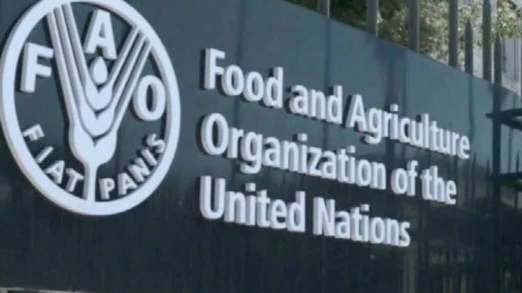 United Nations Calls for Fish Farming Boom in Africa (NewsCentral TV)