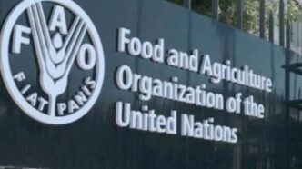 United Nations Calls for Fish Farming Boom in Africa (NewsCentral TV)