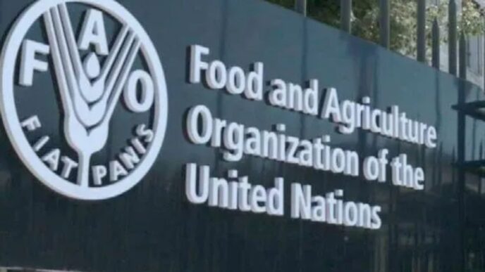 United Nations Calls for Fish Farming Boom in Africa (NewsCentral TV)