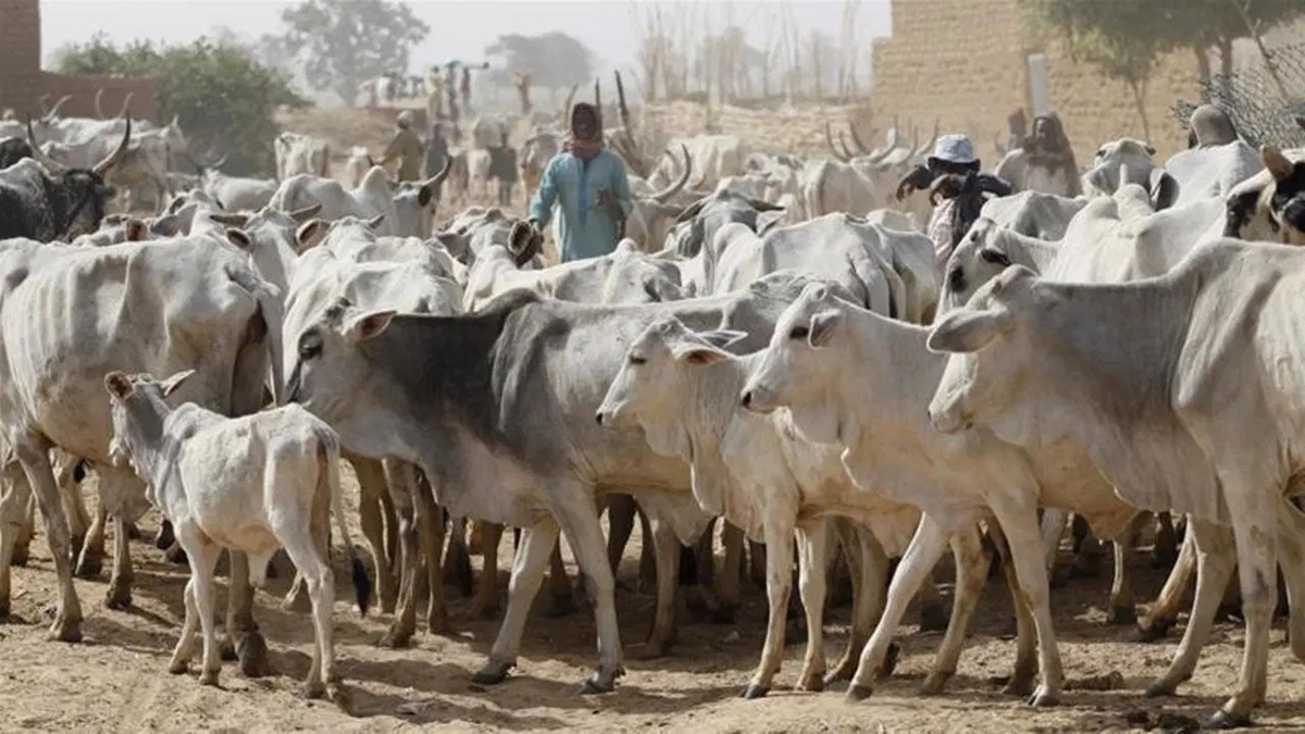 Herders