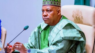 Vice President Kashim Shettima