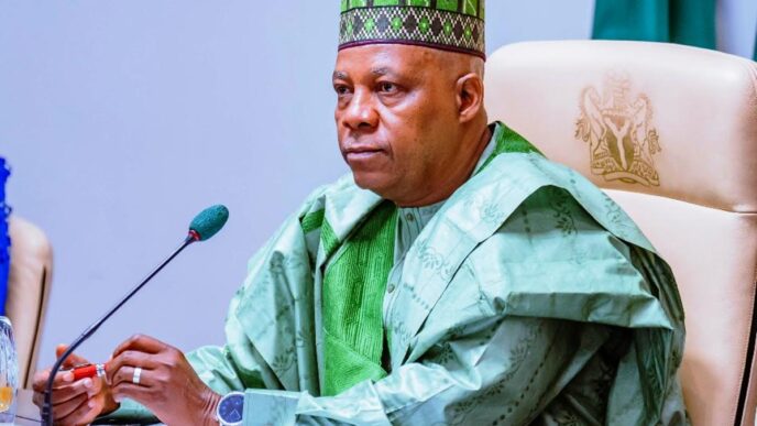 Vice President Kashim Shettima