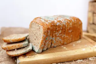 How Unsafe Food Weakens Nigeria’s Health, Economy (News Central TV)