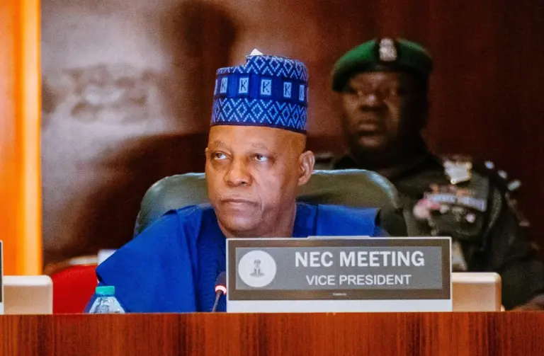 Sowore Demands Shettima Be Made Acting President