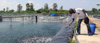 United Nations Calls for Fish Farming Boom in Africa (NewsCentral TV)