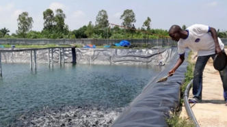 United Nations Calls for Fish Farming Boom in Africa (NewsCentral TV)