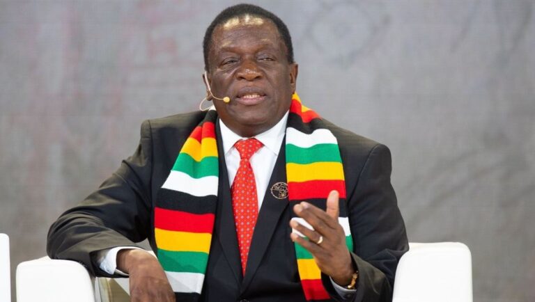 MDC Challenges Law Extending Mnangagwa’s Rule