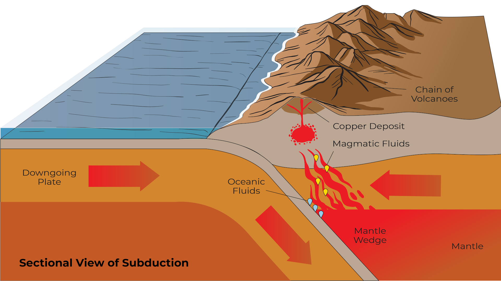 Cross section of the Earth showing one tectonic plate going under the other, creative volcanism and copper deposits directly above