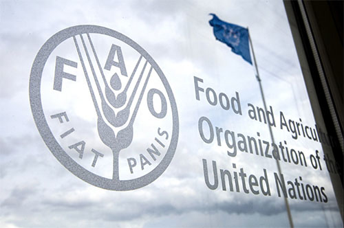 United Nations Calls for Fish Farming Boom in Africa (NewsCentral TV)