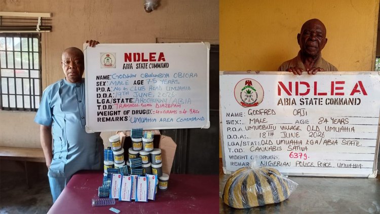 NDLEA Raids Expose Drug Operations Nationwide
