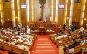 Senate Mourns Ex-General Rabe Abubakar (NewsCentral TV)