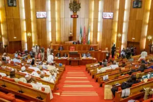 Senate Mourns Ex-General Rabe Abubakar (NewsCentral TV)