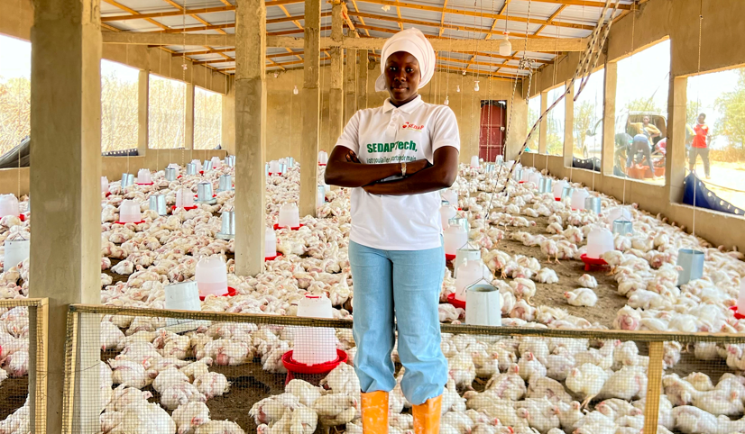 Senegal Entrepreneur Modernises Poultry Farming (NewsCentral TV)