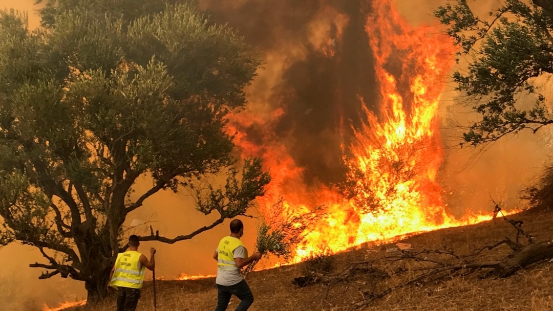 Fires (News Central TV)