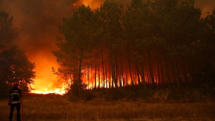 Wildfire Forces Mass Evacuations.