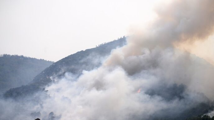 Spain Wildfire Evacuees Return Home