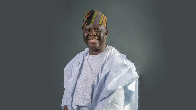 Senate Confirms Fasina as Non-Career Ambassador
