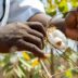 The Future of Africa's Cotton May Not Lie in Exports