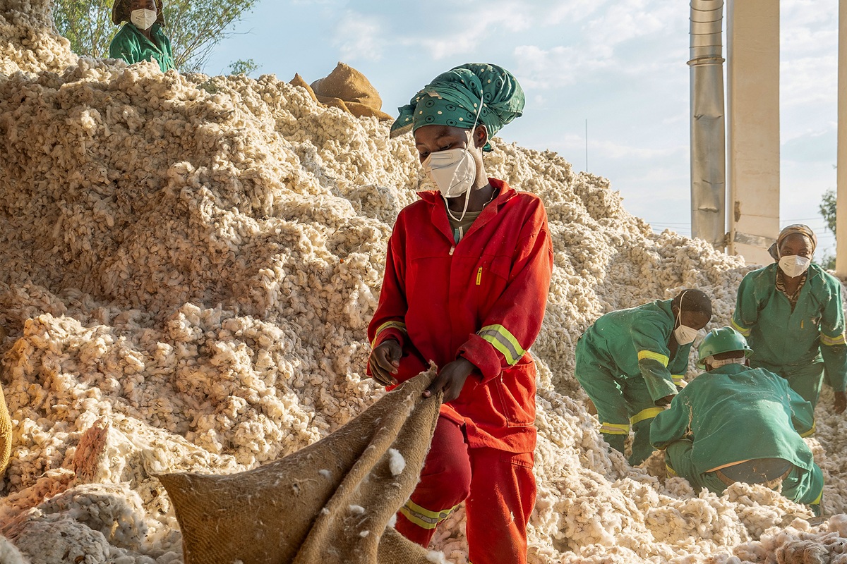 The Future of Africa's Cotton May Not Lie in Exports