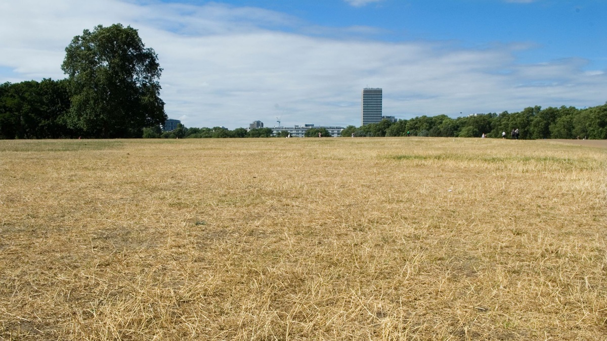 More Than Half of England Officially Declared in Drought