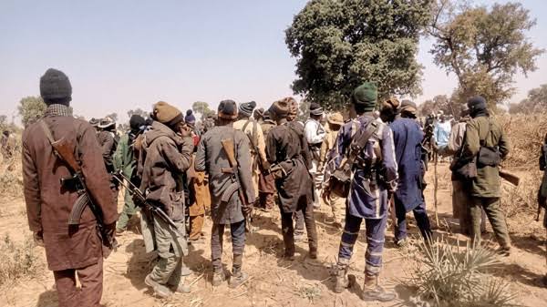 Bandit Leader Speaks With News Central on Kidnappings in Katsina