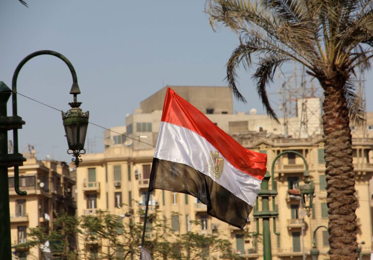 Egypt Sentences Former Doctor for Spreading False Information