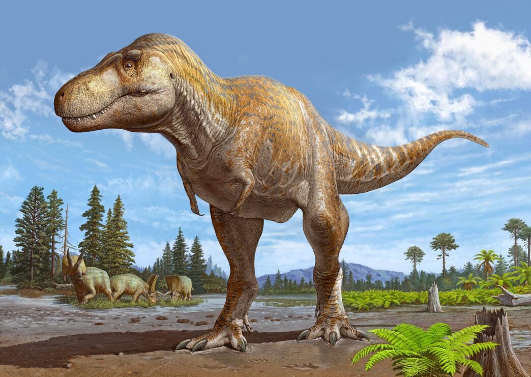 New Zimbabwean fossil unlocks dinosaur history (News Central TV)