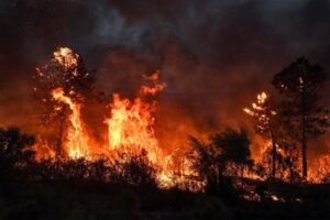 Fires (News Central TV)