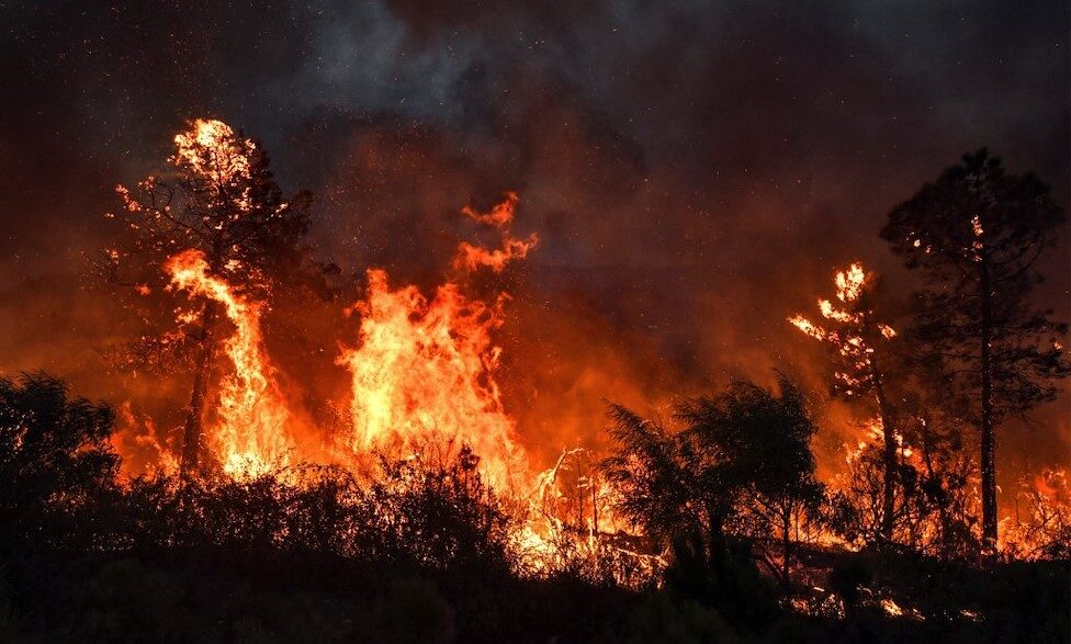 Fires (News Central TV)