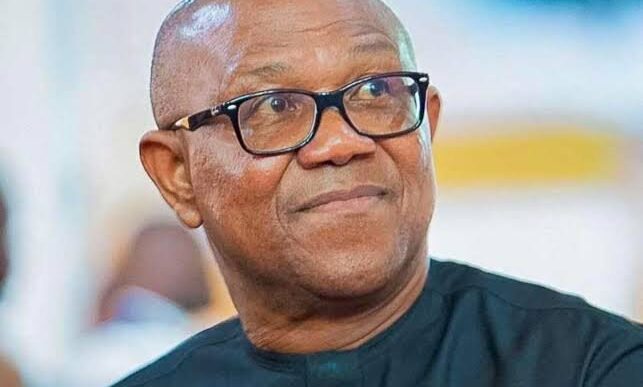 Peter Obi Promises Education, Healthcare Reforms