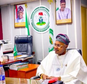 Adeniyi Adeyemi Matthew, acclaimed Director General of the Presidential Foreign Intervention Promotion Council/Presidential Economic Advisory Council. Credit: Bayo Onanuga