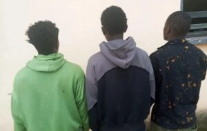 Police Arrest Three Over Mob Killing of Plateau Student