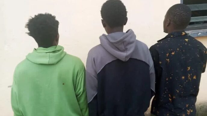 Police Arrest Three Over Mob Killing of Plateau Student