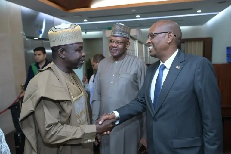 Nigeria’s Envoy Begins Diplomatic Mission in India
